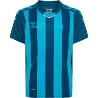 Hummel T-Shirt fonctionnel bleu cyan / bleu foncé