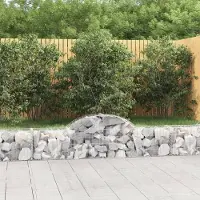 Prolenta Maison Exclusive - Paniers à gabions arqués 11 pcs 200x30x40/60 cm Fer galvanisé