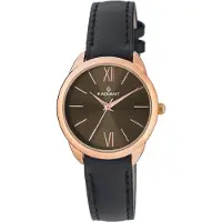 Radiant Montres ra419601