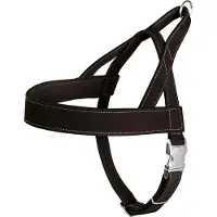 Hunter Harnais Norvégien Pour Chien De Chasse Noir 55 X 71-97