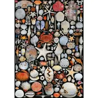 Piatnik Puzzle De la plage 1000 pièces