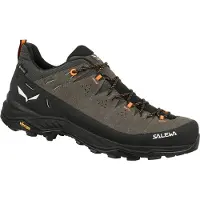 Salewa Chaussures de randonnée Alp Trainer 2 Gore-Tex