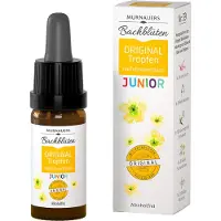 MCM KLOSTERFRAU Vertr. GmbH Gouttes Original Junior aux fleurs de Bach de Murnauer, solution de 10 ml