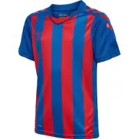 Hummel T-Shirt fonctionnel bleu / rouge