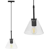 Toolight Lampe Suspendue APP1178-1CP Black
