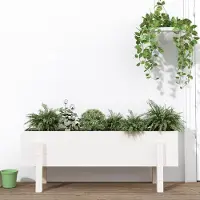 Prolenta Maison Exclusive - Potager surélevé blanc 101x30x38 cm Bois massif Pin