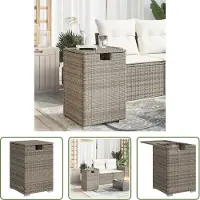 The Living Store Table de cache-cache pour réservoir de propane Gris 40x40x60 cm Poly rotin