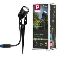 Paulmann Plug & Shine Spotleuchte