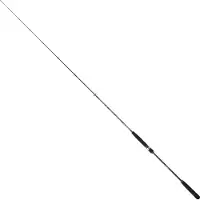 Sakura Ryokan Sw Jiggingrute Silber 1.93 m / 90-200 g Silber 1.93 m