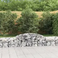 Prolenta Maison Exclusive - Paniers à gabions arqués 20 pcs 300x50x40/60 cm fer galvanisé