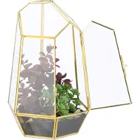 Relaxdays Terrarium géométrique pour plantes en verre