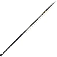 Shimano Fishing Beastmaster Te Boat Li Dr boat rod Golden 4.00 m / 5-50 g Golden 4.00 m
