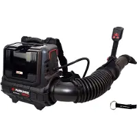 Parkside PERFORMANCE Souffleur à feuilles à batterie 40 V PPRLBA 40-Li / sans batterie ni chargeur