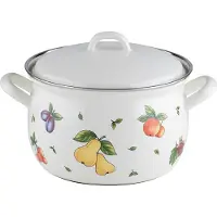 Riess Marmite à viande Fruit Garden avec couvercle 20 cm 3.5 litres émail