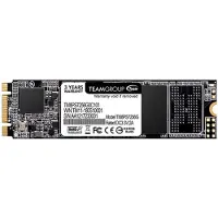 Team Group MS30, 256GB, interne, M.2 2280 | TM8PS7256G0C101