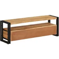 The Living Store Meuble TV 120x30x40 cm bois massif Mango