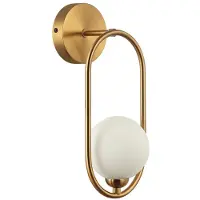 ITALUX Kinkite LUPUS WL-3965-1-BRO