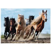 Trefl Puzzle 1000 : Chevaux au galop