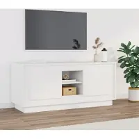 Prolenta Maison Exclusive - Meuble TV blanc 102x35x45 cm Matériau dérivé du bois