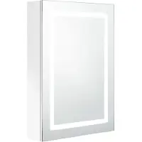 Syfax Armoire de salle de bain à miroir LED Blanc brillant 50x13x70cm