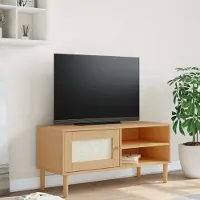 Prolenta Meuble TV SENJA, aspect rotin, couleur marron, dimensions 106x40x49 cm, en bois de pin