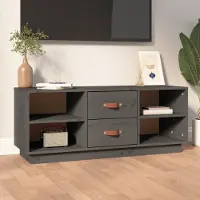 Prolenta Maison Exclusive - Meuble TV gris 100x34x40 cm Bois massif Pin