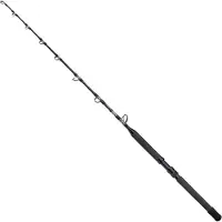 Shimano Fishing Tyrnos B Stand Up Spiral Bottom Shipping Rod Argenté 1.65 m / 80 Lbs