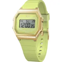 Ice Watch 22059 32 Mm Watch Vert
