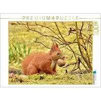 CALVENDO Puzzle Écureuil avec noix 1000 pièces puzzle horizontal | 1000 pièces Lege-Grandeur 64x48cm Photo-Puzzle pour des heures heureuses