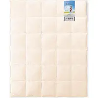Sonstige Verlage Daunendecke 135x200 AMZ MR. PILLOW 60% 2,1kg crème