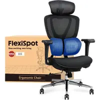 FlexiSpot Sentinel : chaise de bureau ergonomique avec soutien lombaire Dual-Wing, appui-tête 3D, accoudoirs 3D, profondeur d'assise et dossier réglables (noir)