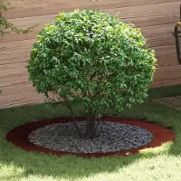 Prolenta Maison Exclusive - Adaptée aux supports plats pour arbres, rouille, diamètre 90/120 cm