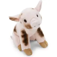 Nici Doudou cochon Autres