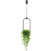 Zumaline Suspension PLANT noir et blanc 1xE14x40W en métal, dimensions : 110x20x20 cm, IP20,