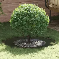 Prolenta Maison Exclusive - Adaptée aux anneaux d'arbres plats, couleur olive, diamètre 50/80 cm, en acier