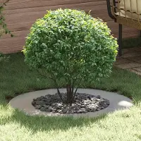 Prolenta Maison Exclusive - adaptée aux arbres à faible circonférence. Lot de 5 pièces, argenté, diamètre 50/80 cm