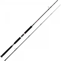 Shimano Fishing Vengeance Ax Pilk Jigging Rod Argenté 2.70 m / 70-140 g
