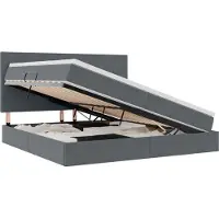 vidaXL Lit coffre à LED avec matelas, gris foncé, 200 x 200 cm, velours