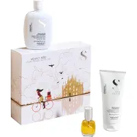 Alfaparf Milano Coffret cadeau Semi di Lino Diamond Kit