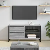 Prolenta Maison Exclusive - Meuble TV, dimensions 100 x 36 x 49,5 cm, fabriqué en panneaux de particules imitation bois Sonoma gris
