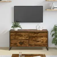 Prolenta Maison Exclusive - Meuble TV, dimensions : 100 x 36 x 49,5 cm, fabriqué en panneaux de particules imitation chêne fumé