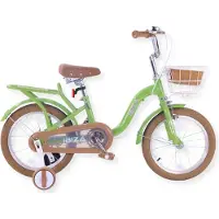 Buxibo - Vélo d'enfant pour fille - Ibiza - 16 pouces - Vert