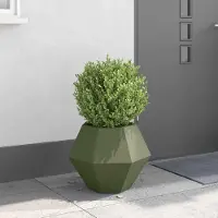Prolenta Maison Exclusive - Bac à plantes vert olive 50 x 50 x 40 cm en acier