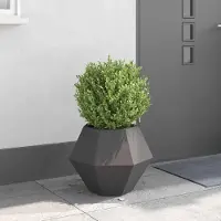 Prolenta Maison Exclusive - Bac à plantes noir 50 x 50 x 40 cm en acier