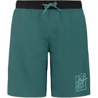 Protest Garrix Swimming Shorts Vert,Bleu 152 cm Garçon