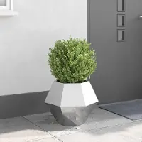 Prolenta Maison Exclusive - Bac à plantes argenté 50 x 50 x 40 cm en acier inoxydable