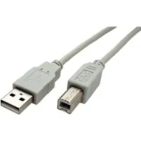 Secomp Câble USB 2.0 STANDARD, type A-B, beige, 0,8 m
