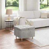 Prolenta Maison Exclusive - Coffre de rangement en velours gris clair, 60 x 60 x 45 cm