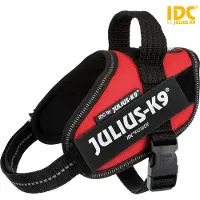 Julius-K9 Julius k9 Power-Kabelbaum / faisceau de câbles pour tags rouge