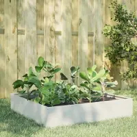 Prolenta Maison Exclusive - Potager surélevé blanc 100 x 100 x 33,5 cm en acier